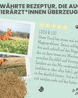 noms+ Verdauungsmix für Hunde als Probiotikum für Magen- & Darmflora