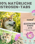 Artikel mit dem Namen Noms+ Zistrosen Tabs im Shop von zoo.de , dem Onlineshop für nachhaltiges Hundefutter und Katzenfutter.