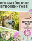 noms+ Zistrosen Tabs - 100% natürliches Zistrosen-Leckerli für Wald- & Wiesenspaziergänge, Tabletten