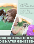 noms+ Zistrosen Tabs - 100% natürliches Zistrosen-Leckerli für Wald- & Wiesenspaziergänge, Tabletten