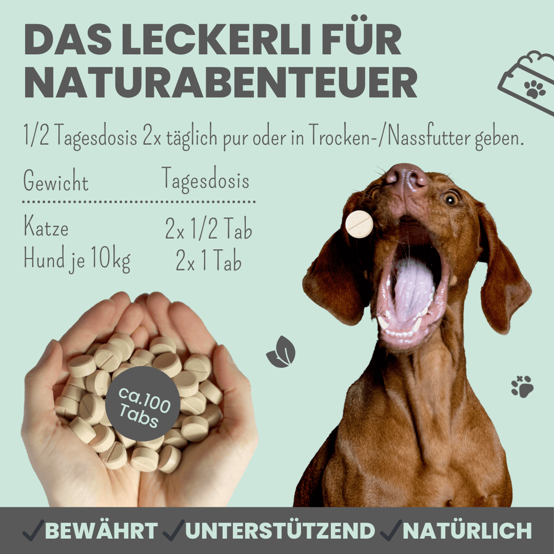 Artikel mit dem Namen Noms+ Zistrosen Tabs im Shop von zoo.de , dem Onlineshop für nachhaltiges Hundefutter und Katzenfutter.