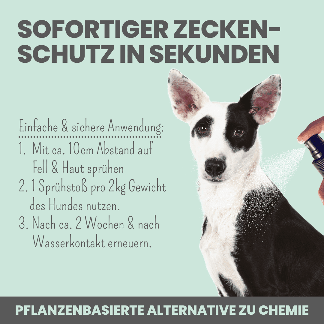 Artikel mit dem Namen Zpray für Hunde gegen Zecken, Flöhe, Milben & Mücken im Shop von zoo.de , dem Onlineshop für nachhaltiges Hundefutter und Katzenfutter.