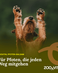 Hundepfote neben zooVital Pfoten-Balsam