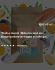 Fisch-Regular