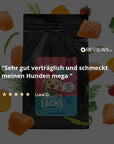 Lachs-Minis