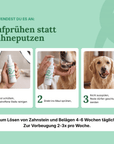 How to use zooVital dental spray on dogs infographic guide