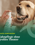 Applying zooVital dental spray to Golden Retriever teeth
