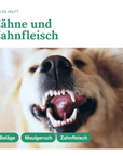 Golden Retriever clean teeth showing benefits for plaque and gum care
