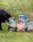 Bosch Dog HPC MENUE Adult mit Rind zoo-de