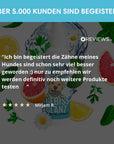 Dentalspray Gebissglanz