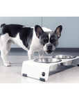 Artikel mit dem Namen Jaska Hundebar ARC S im Shop von zoo.de , dem Onlineshop für nachhaltiges Hundefutter und Katzenfutter.