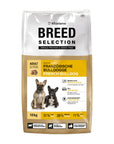 Wildsterne Breed French Bulldog