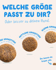 Edgard Cooper Hund Frischer Lachs L