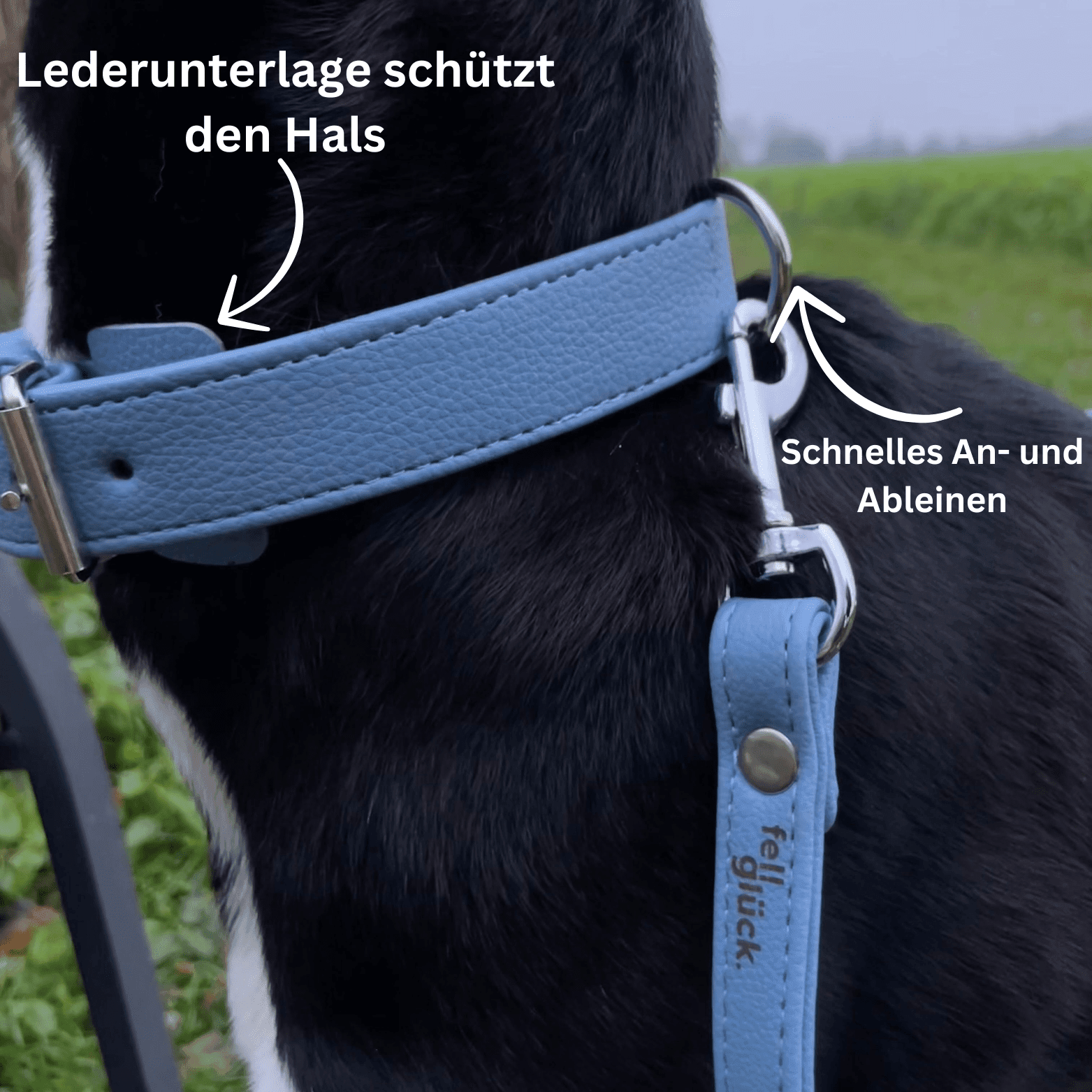 Artikel mit dem Namen Veganes Leder Hundehalsband (Sky) im Shop von zoo.de , dem Onlineshop für nachhaltiges Hundefutter und Katzenfutter.
