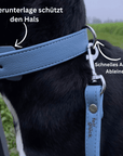 Artikel mit dem Namen Veganes Leder Hundehalsband (Sky) im Shop von zoo.de , dem Onlineshop für nachhaltiges Hundefutter und Katzenfutter.