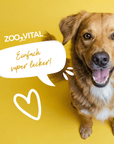 Glücklicher goldenbrauner Hund vor gelbem Hintergrund mit zooVital Logo