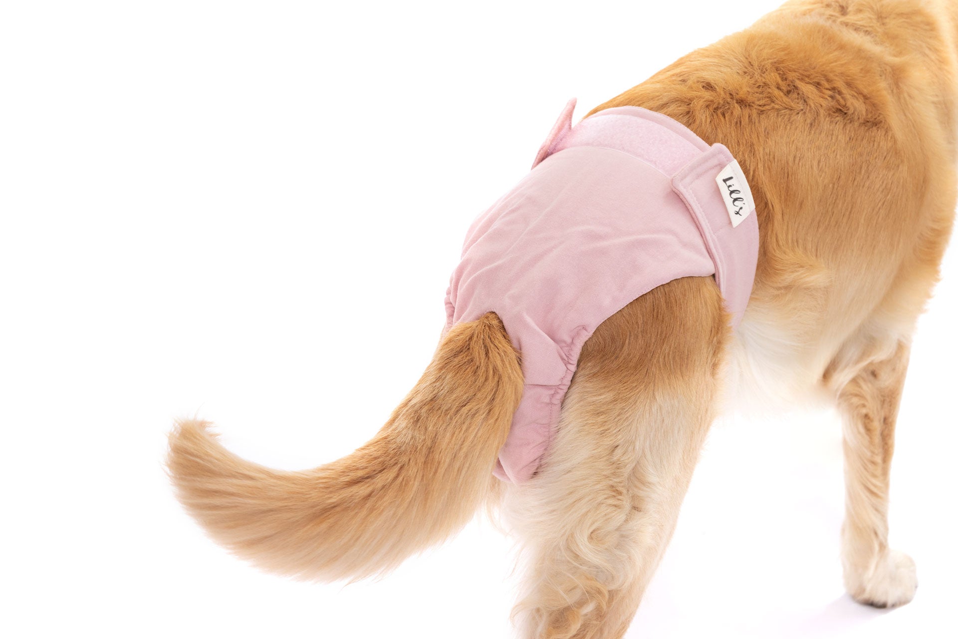 Artikel mit dem Namen Läufigkeitshöschen aus Bio-Baumwolle "Pink Berry" im Shop von zoo.de , dem Onlineshop für nachhaltiges Hundefutter und Katzenfutter.