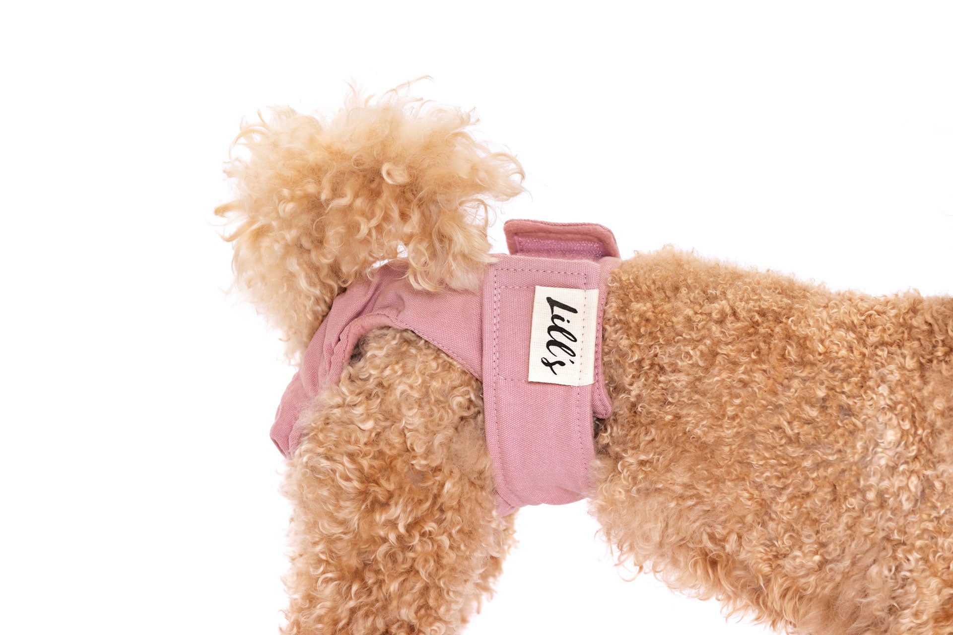 Artikel mit dem Namen Läufigkeitshöschen aus Bio-Baumwolle &quot;Pink Berry&quot; im Shop von zoo.de , dem Onlineshop für nachhaltiges Hundefutter und Katzenfutter.