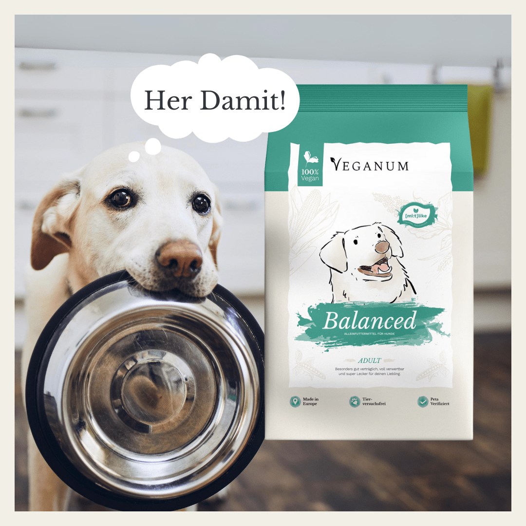 Artikel mit dem Namen Veganum Balanced im Shop von zoo.de , dem Onlineshop für nachhaltiges Hundefutter und Katzenfutter.