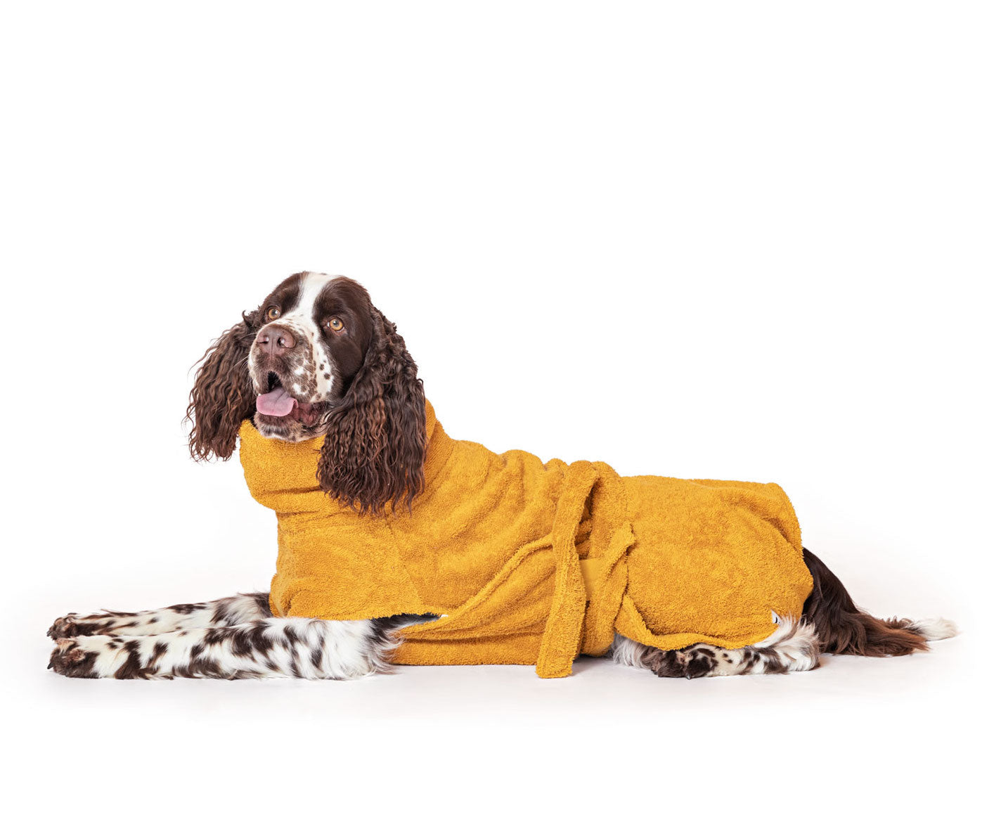 Artikel mit dem Namen Hundebademantel aus Bio-Baumwolle &quot;Amber&quot; im Shop von zoo.de , dem Onlineshop für nachhaltiges Hundefutter und Katzenfutter.