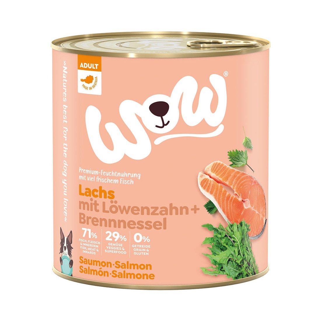Artikel mit dem Namen WOW Lachs mit Löwenzahn und Brennnessel im Shop von zoo.de , dem Onlineshop für nachhaltiges Hundefutter und Katzenfutter.