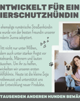 Artikel mit dem Namen Noms+ Wohlfühlmix-Pulver im Shop von zoo.de , dem Onlineshop für nachhaltiges Hundefutter und Katzenfutter.