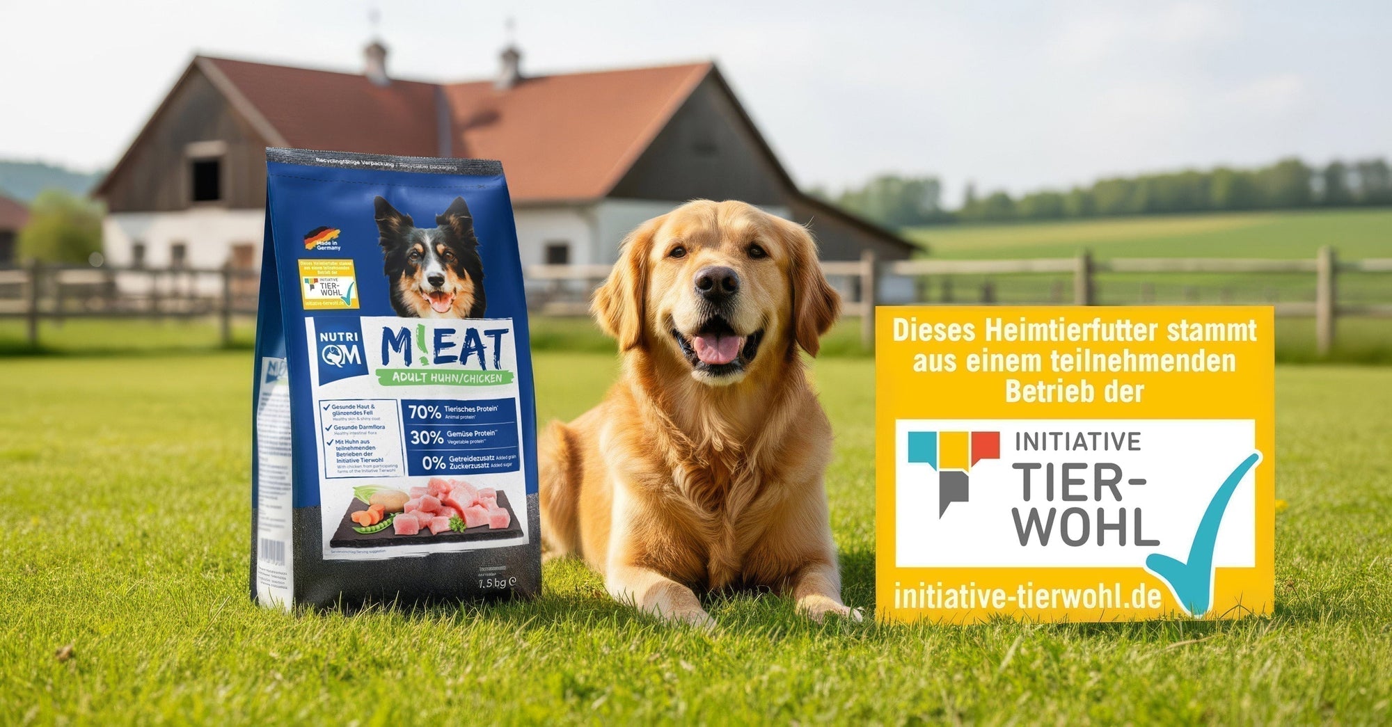 Mehr Verantwortung im Futternapf: Tierwohl-Initiativen bei Hundefutter