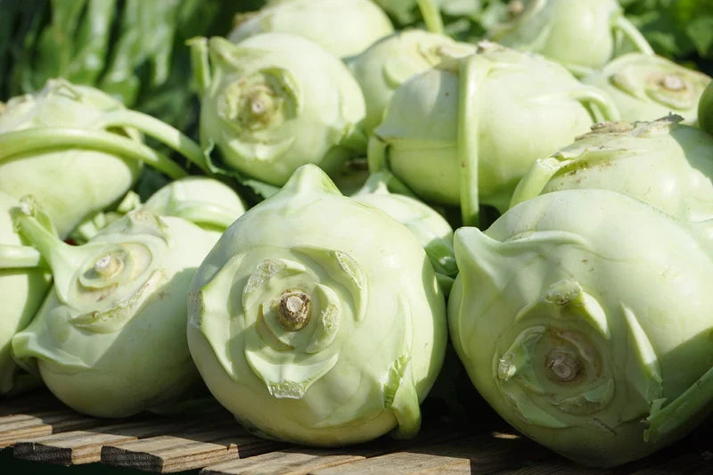 Kohlrabi