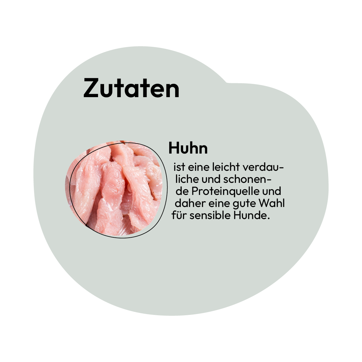Grau Hund Huhn Pur