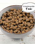 Grau Katze  Geflügel & Lachs mit Superfoods