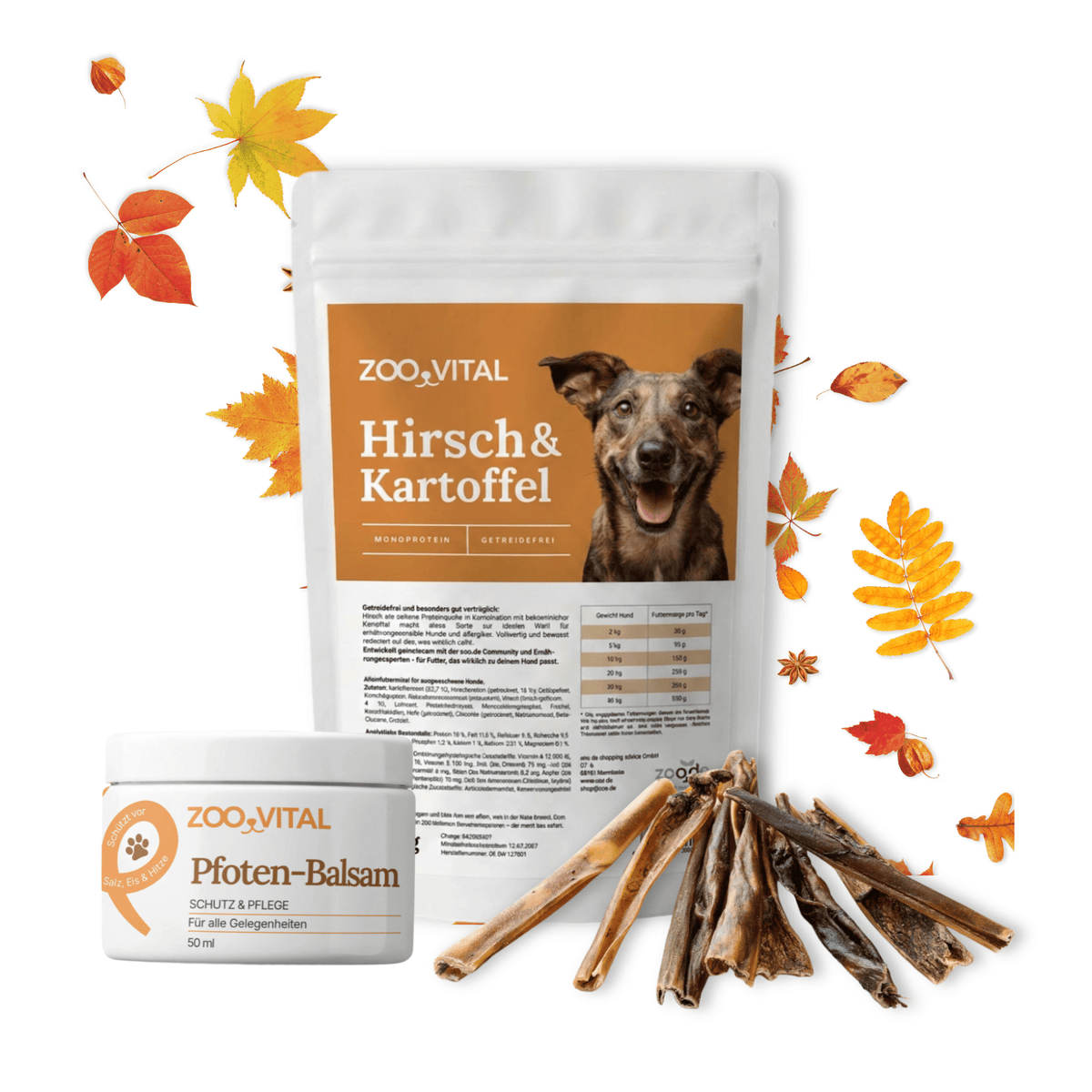 zooVital Herbst-Set für Hunde