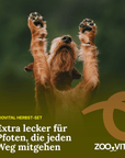 zooVital Herbst-Set für Hunde