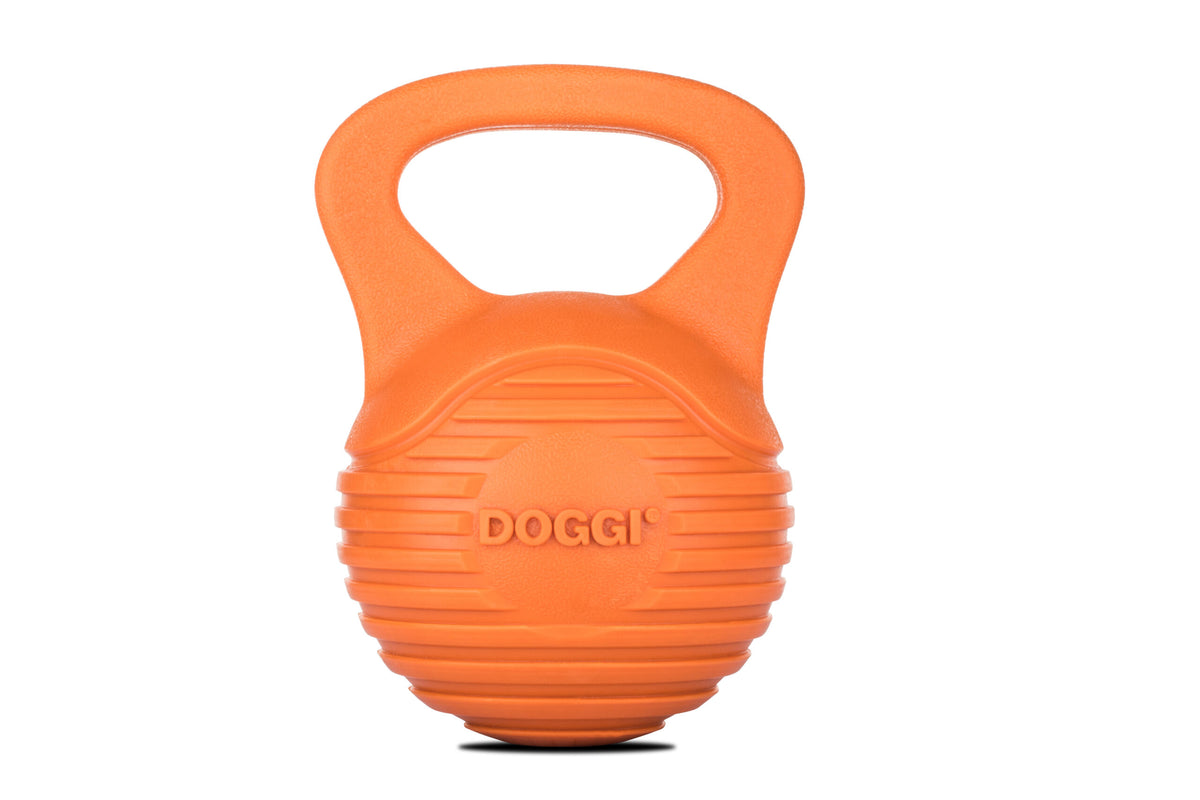 Design 4Pets DOGGI Hundespielzeug Dumbbell – L