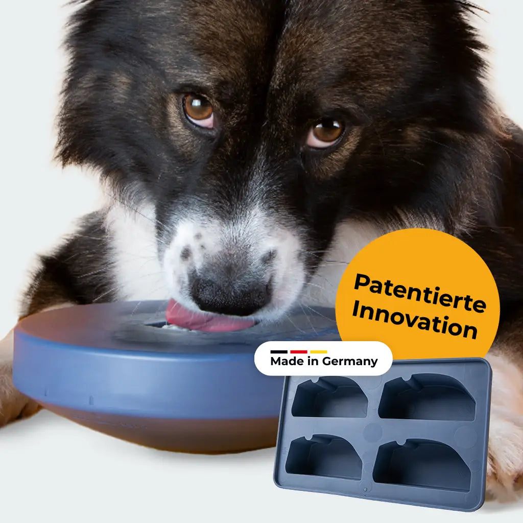 Einsteiger-Set BOGGL® M für große Hunde (15-30 kg): Schleckspielzeug + Form
