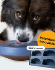 Einsteiger-Set BOGGL® M für große Hunde (15-30 kg): Schleckspielzeug + Form