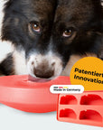 Einsteiger-Set BOGGL® M für große Hunde (15-30 kg): Schleckspielzeug + Form