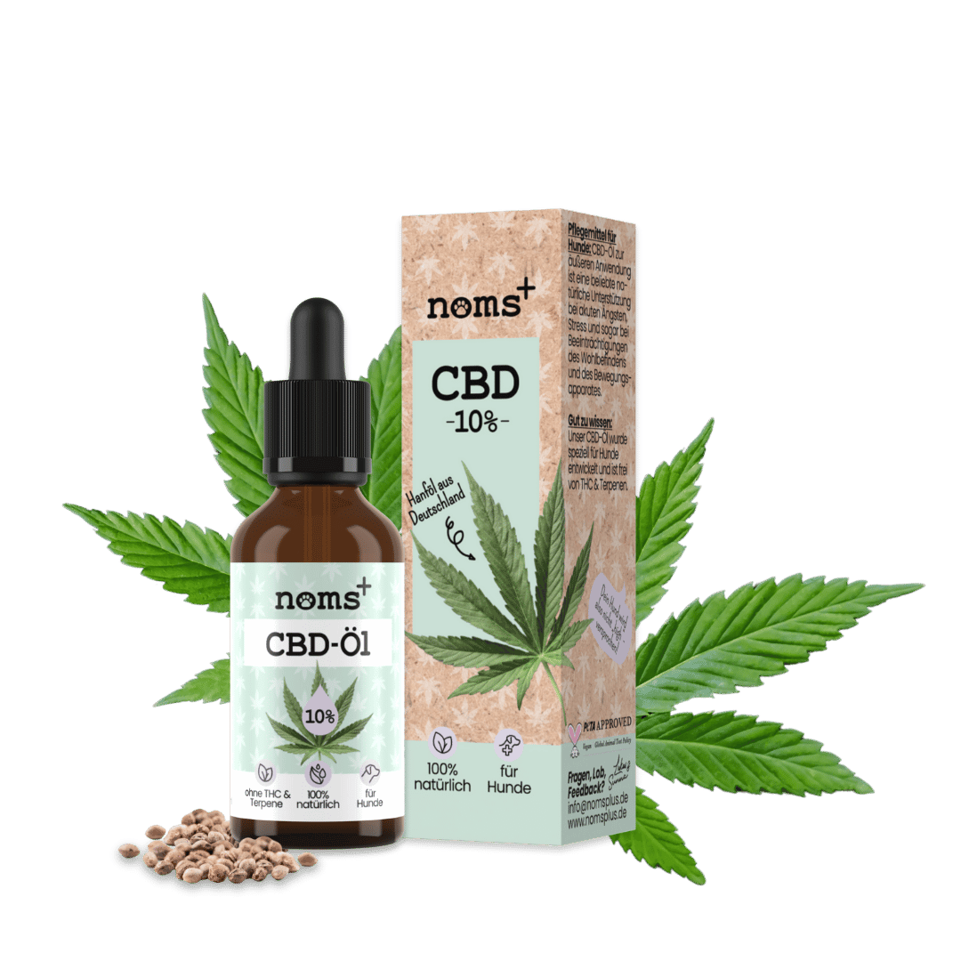 10% CBD Tropfen für Hunde 10ml