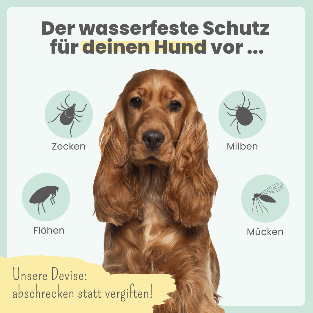 Zpot-on für Hunde gegen Zecken, Flöhe, Milben &amp; Mücken