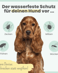Zpot-on für Hunde gegen Zecken, Flöhe, Milben & Mücken
