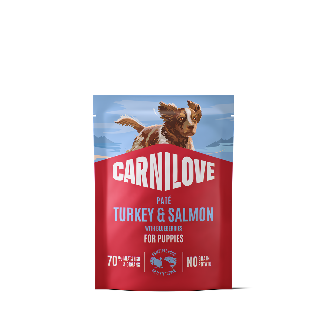 Carnilove Puppy Paté Pute und Lachs für Hunde, 12 x 300 g
