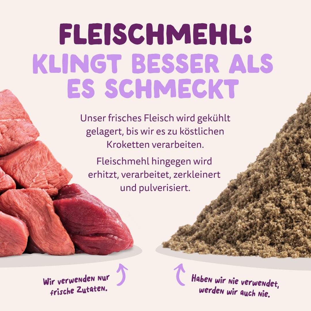 Edgard &amp; Cooper Hund Frische Ente M