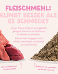 Edgard Cooper Hund Frische Ente & Huhn L Junior