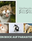 noms+ Zpot-on für Katzen gegen Zecken, Flöhe, Milben & Mücken [Jahresvorrat]