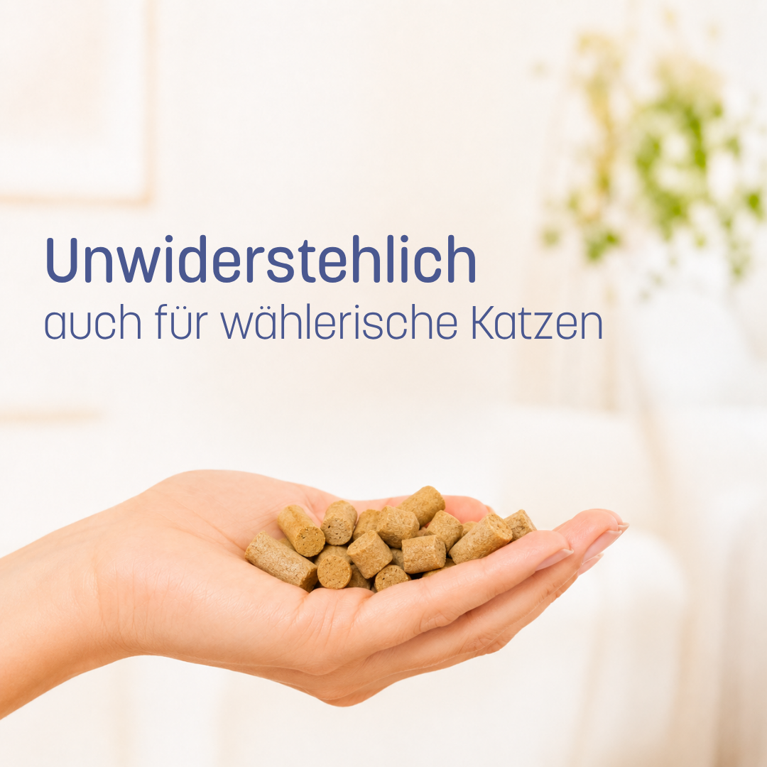 Sardine Essential 90g – Produktbild 3