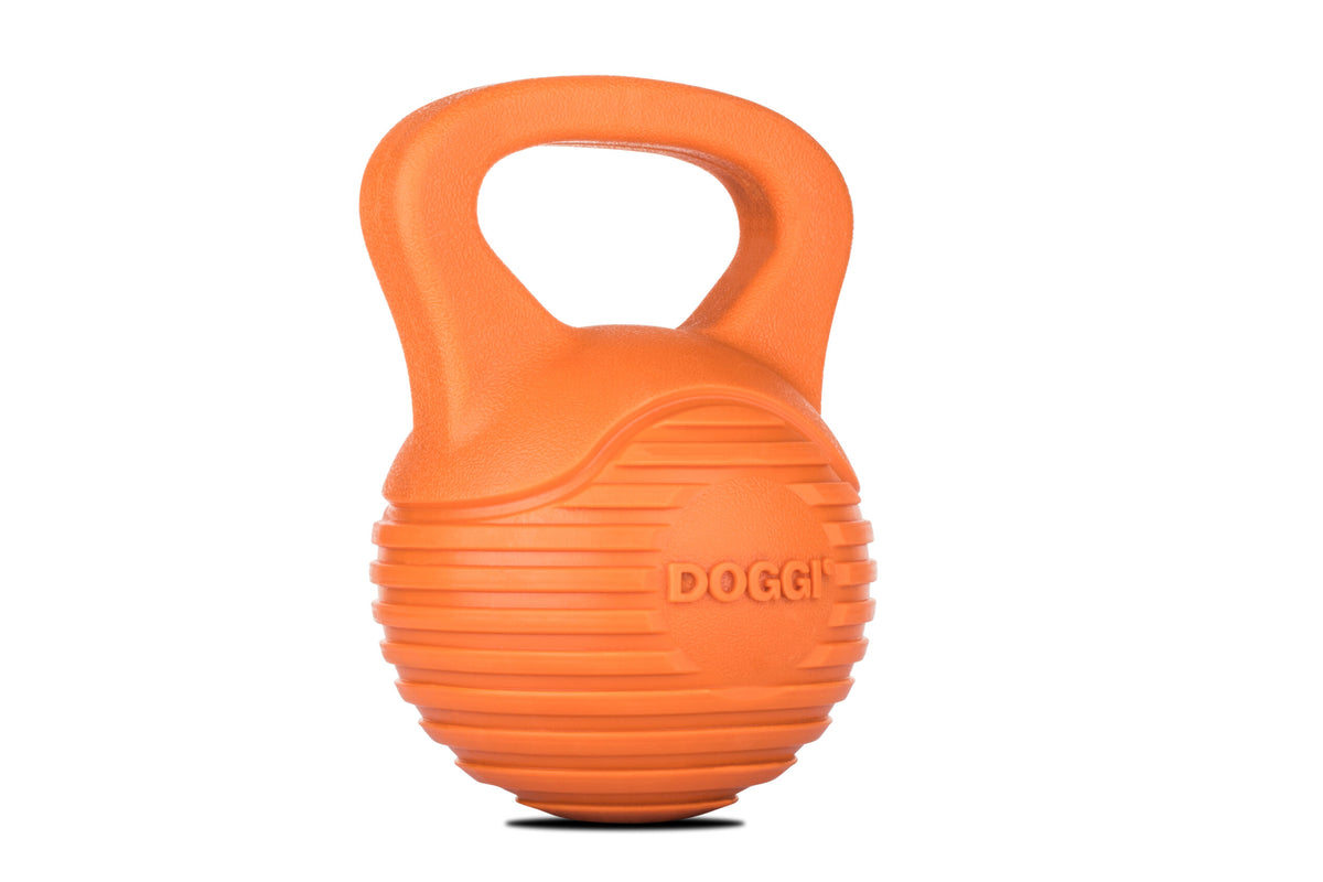Design 4Pets DOGGI Hundespielzeug Dumbbell