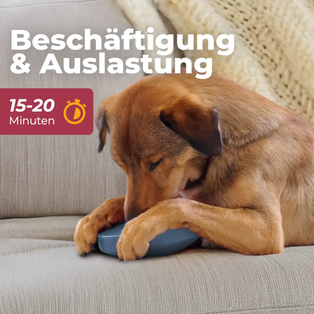 Einsteiger-Set BOGGL® M für große Hunde (15-30 kg): Schleckspielzeug + Form