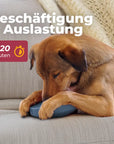 Einsteiger-Set BOGGL® M für große Hunde (15-30 kg): Schleckspielzeug + Form
