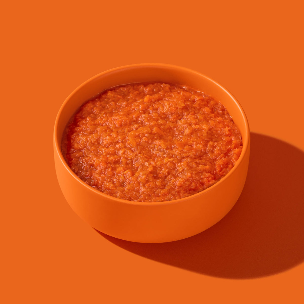 FRED Morosche Karottensuppe Ergänzungsfutter für Hunde im Napf angerichtet
