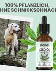 noms+ 10% CBD Tropfen für Hunde