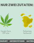 noms+ 15% CBD Tropfen für Hunde und Pferde